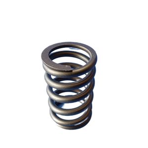 فنر سوپاپ  ایساکو مدل 405 مناسب برای  پژو 405